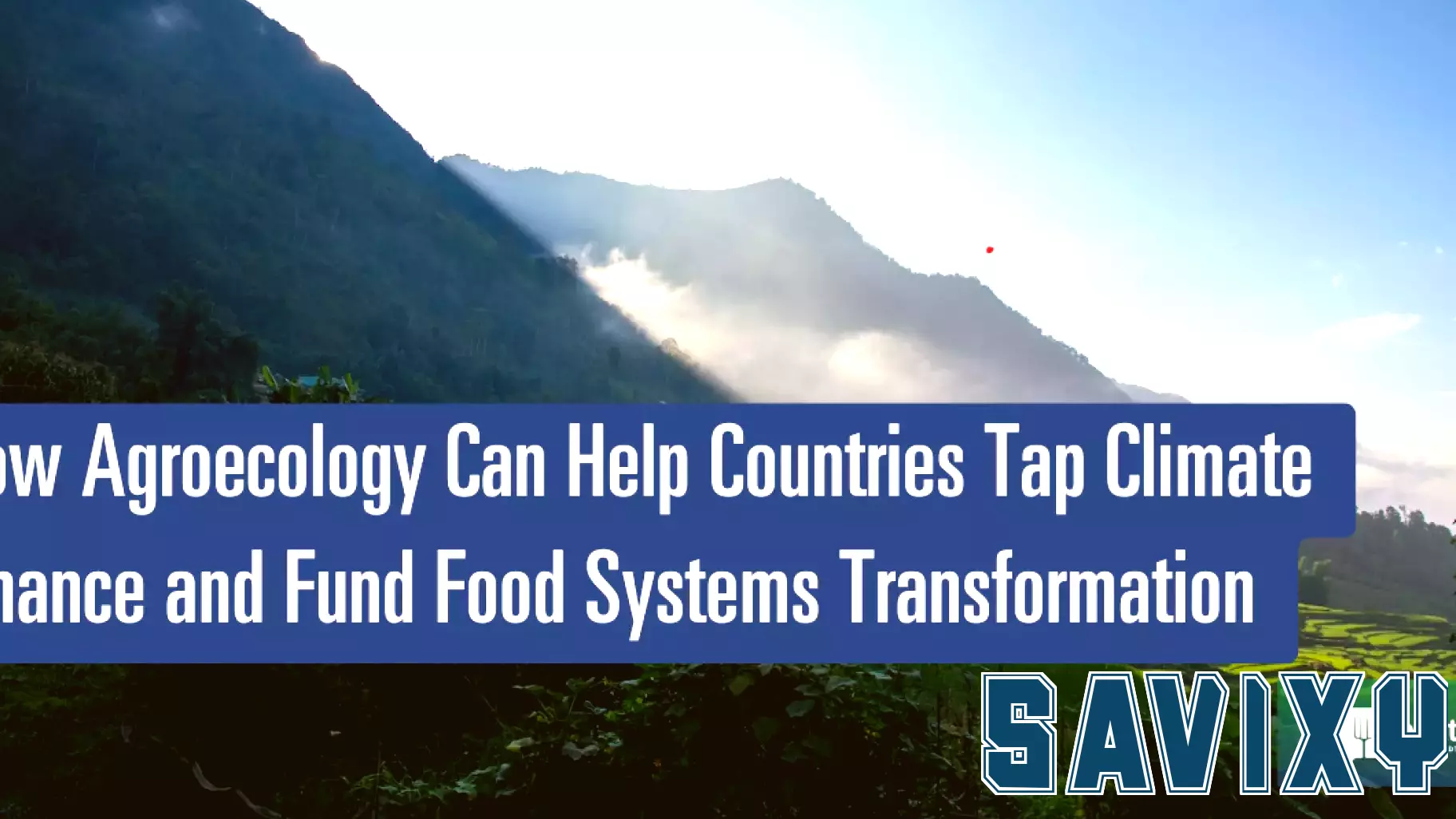 Transforming Food Systems Through Agroecology